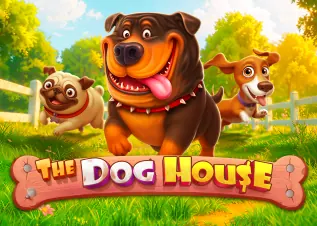 เกมไพ่ The Dog House ทดลองเล่นฟรี